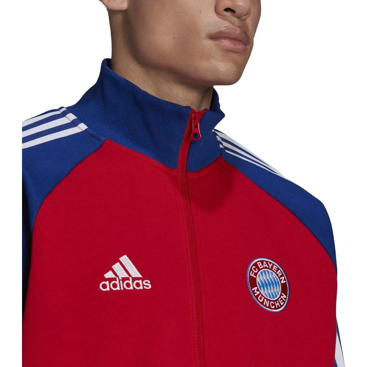 adidas Men's Fc Bayern 21/22 Anthem Jacket | H67174