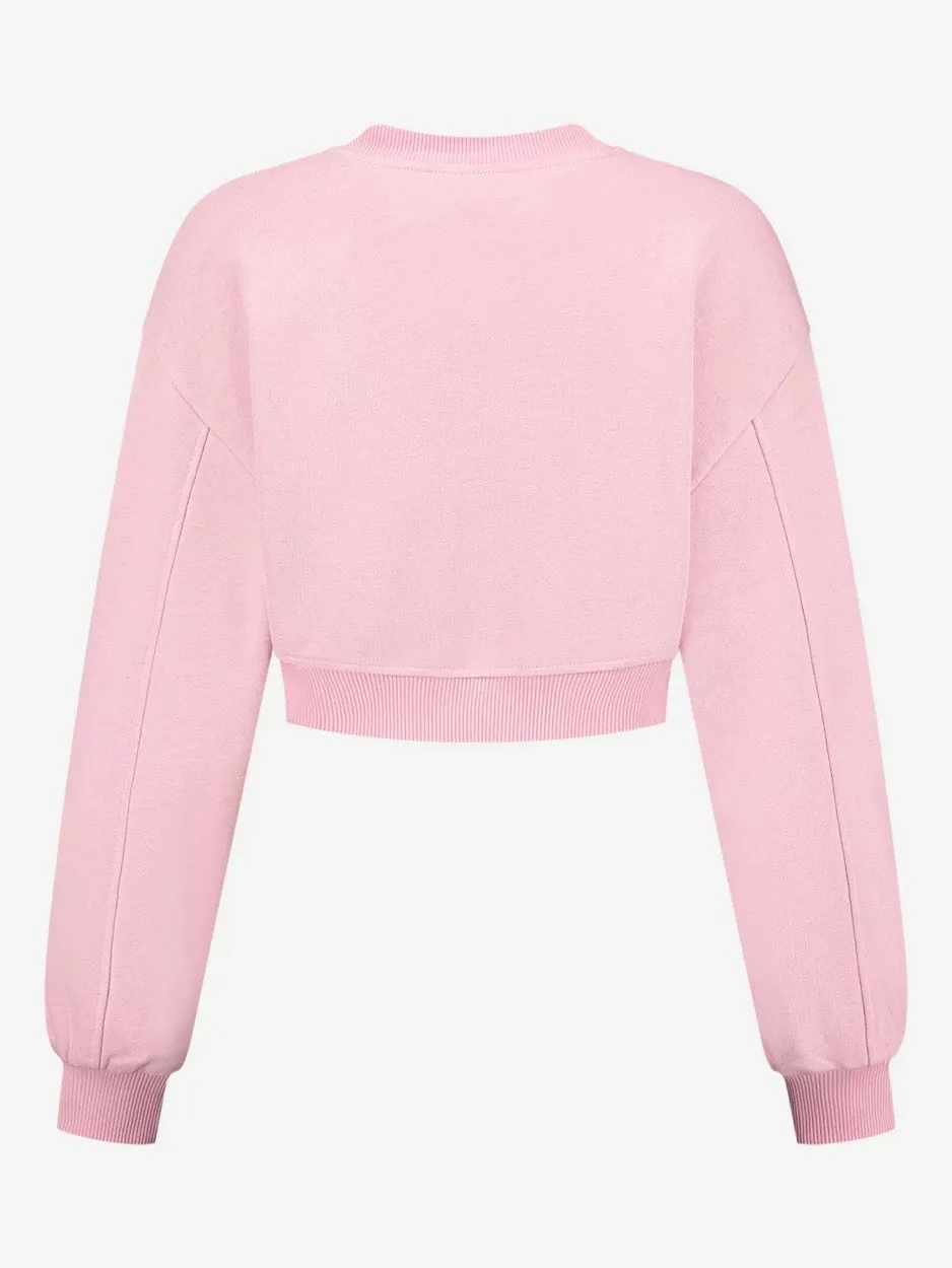 Bangalore Sweater - Roze