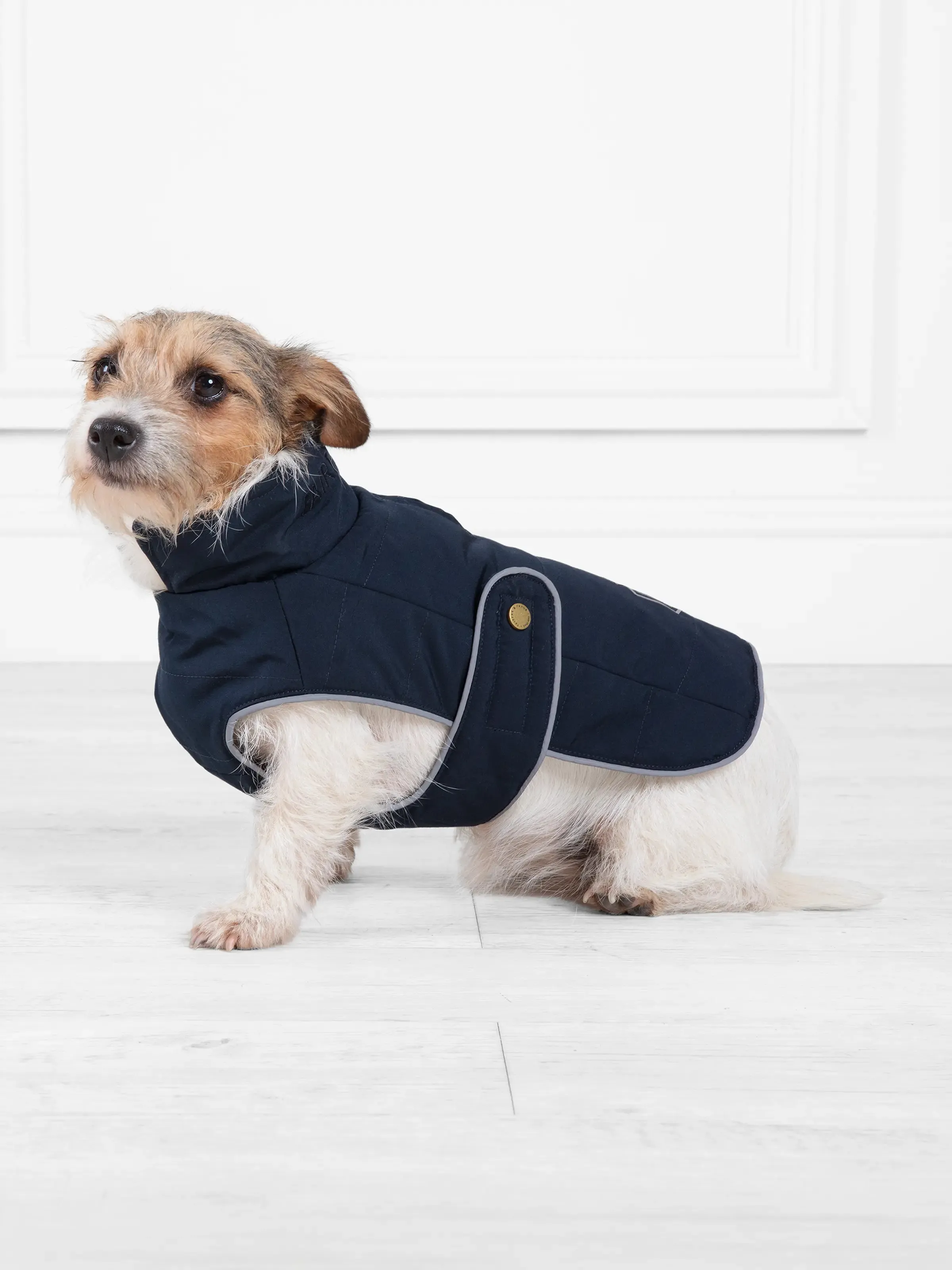 Charlotte Padded Dog Coat - Navy