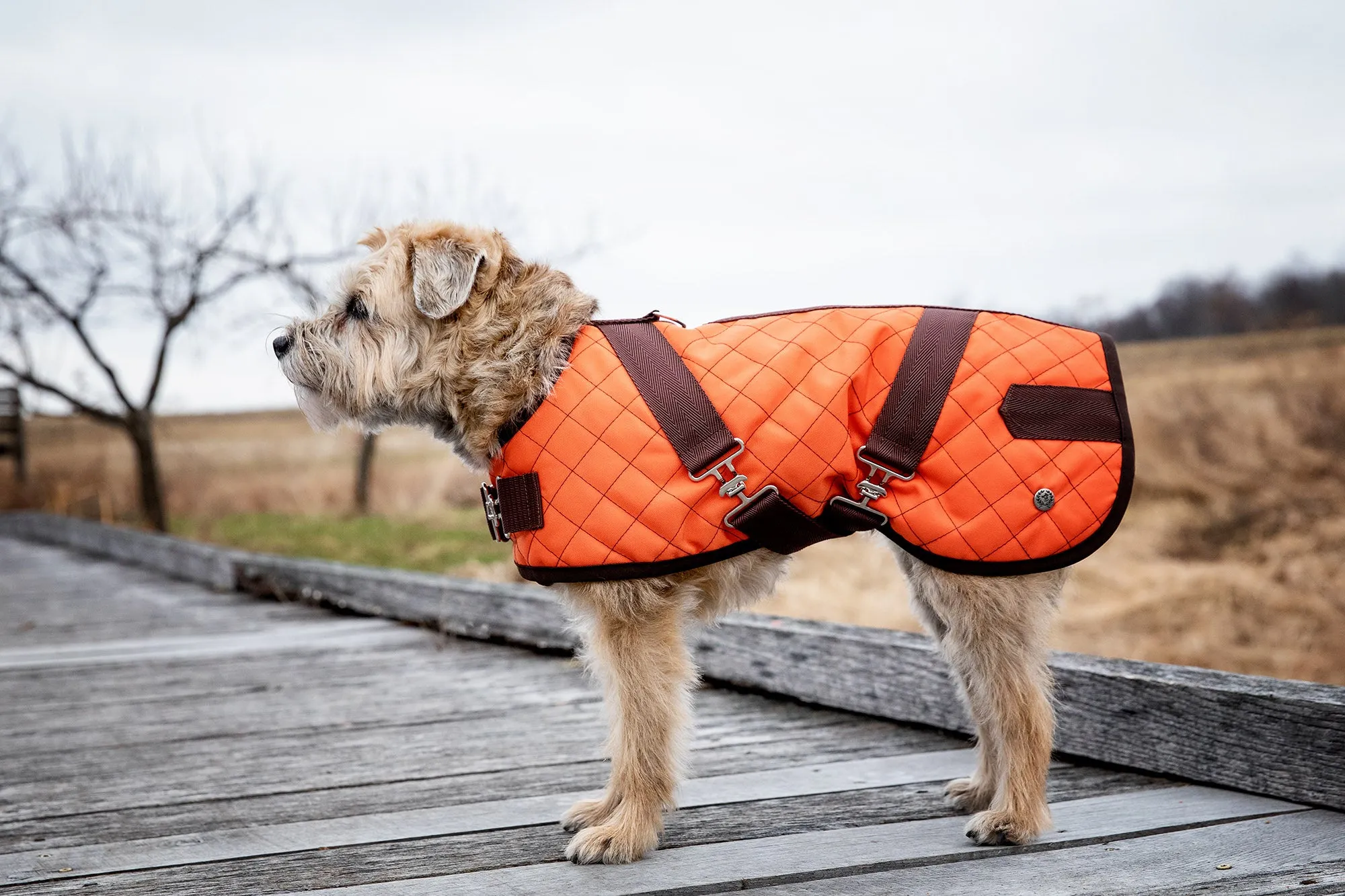 Horse Blanket - Quilted Coats - 4 Color Options - Navy, Brown, Orange & Loden