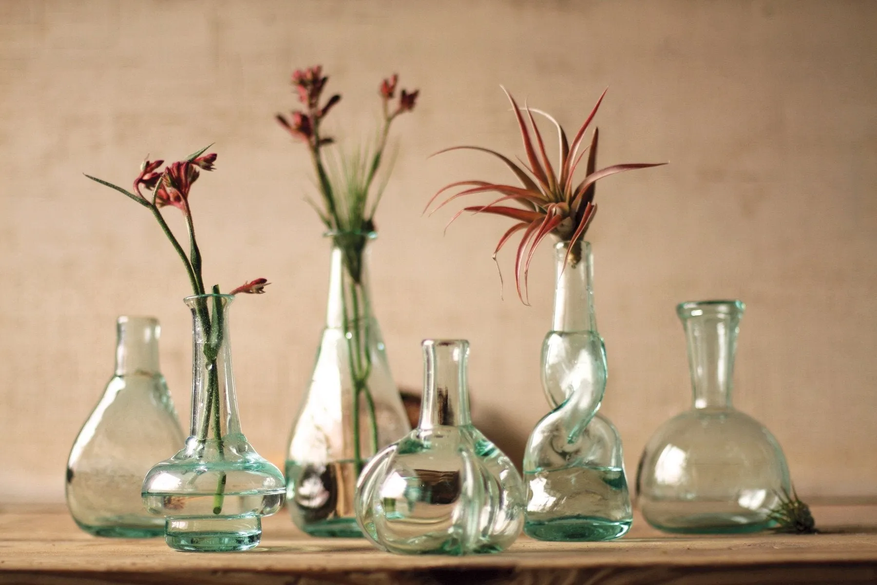 Kalalou Bottle Bud Vases - Set Of 6