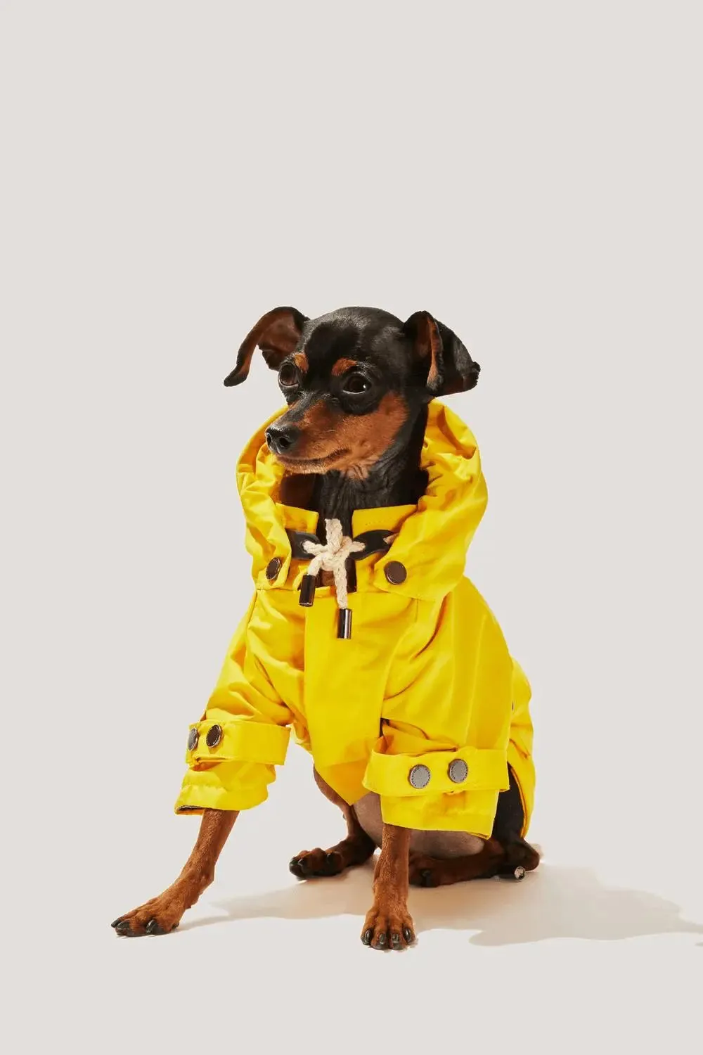 MAXBONE - Talon Raincoat for Dogs