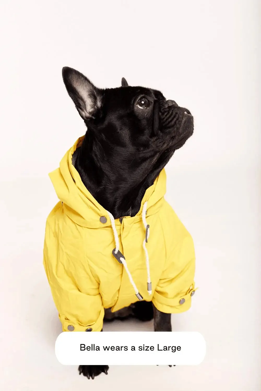 MAXBONE - Talon Raincoat for Dogs