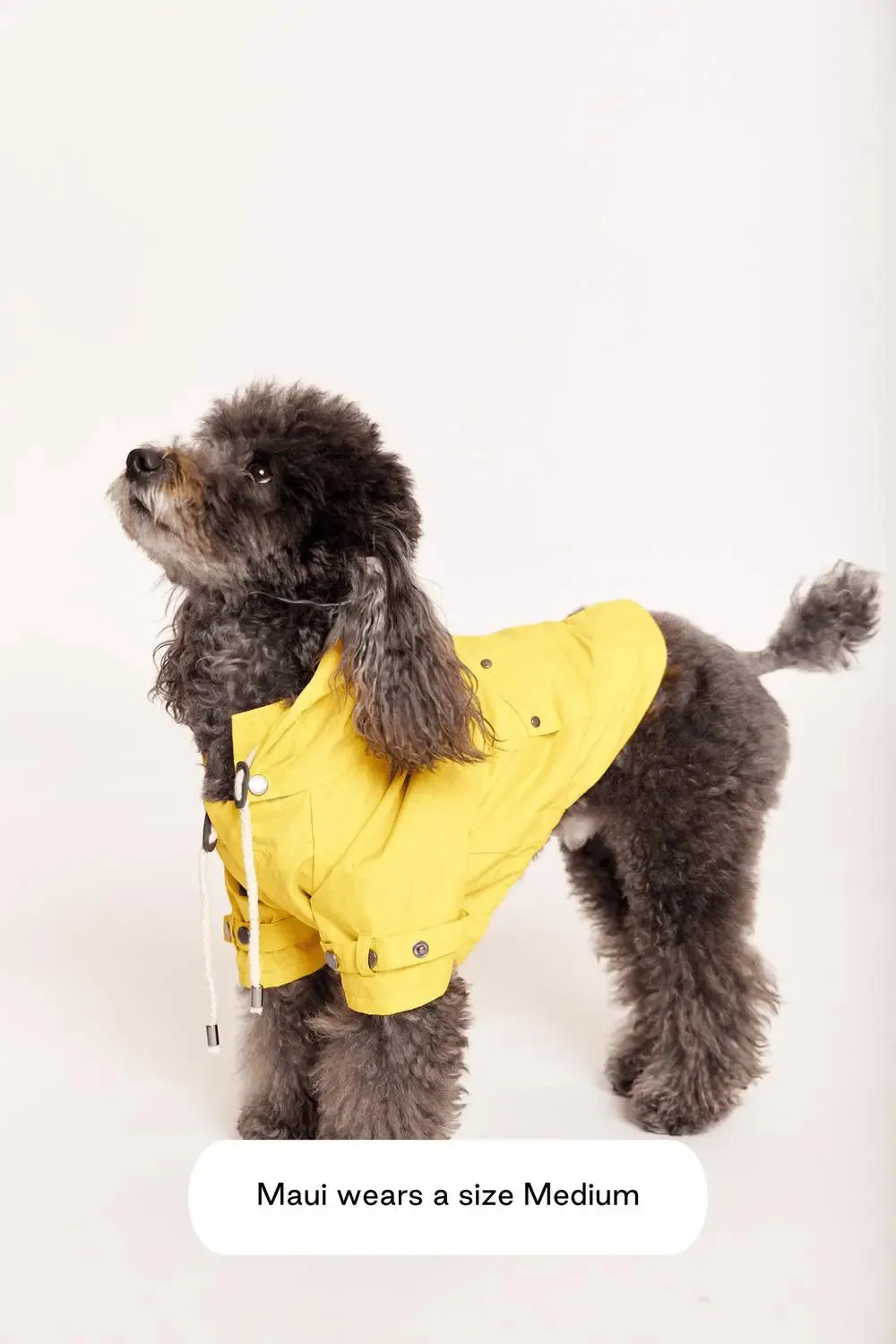 MAXBONE - Talon Raincoat for Dogs