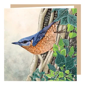 Nuthatch & Ivy Greeting Card