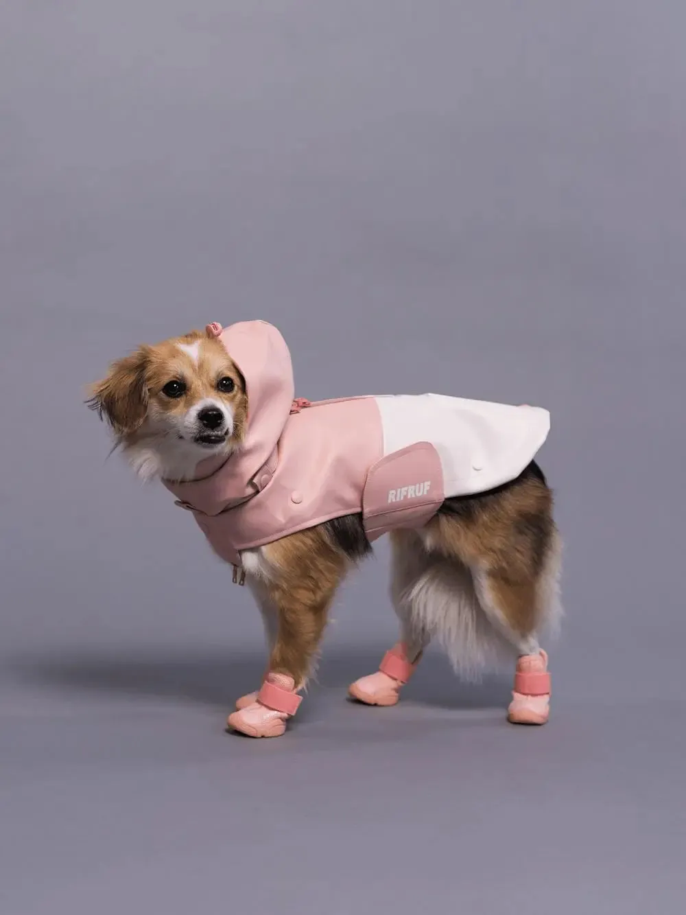 RIFRUF - Stormhunter Raincoat - Rain coat nd Winter Jacket for Dogs