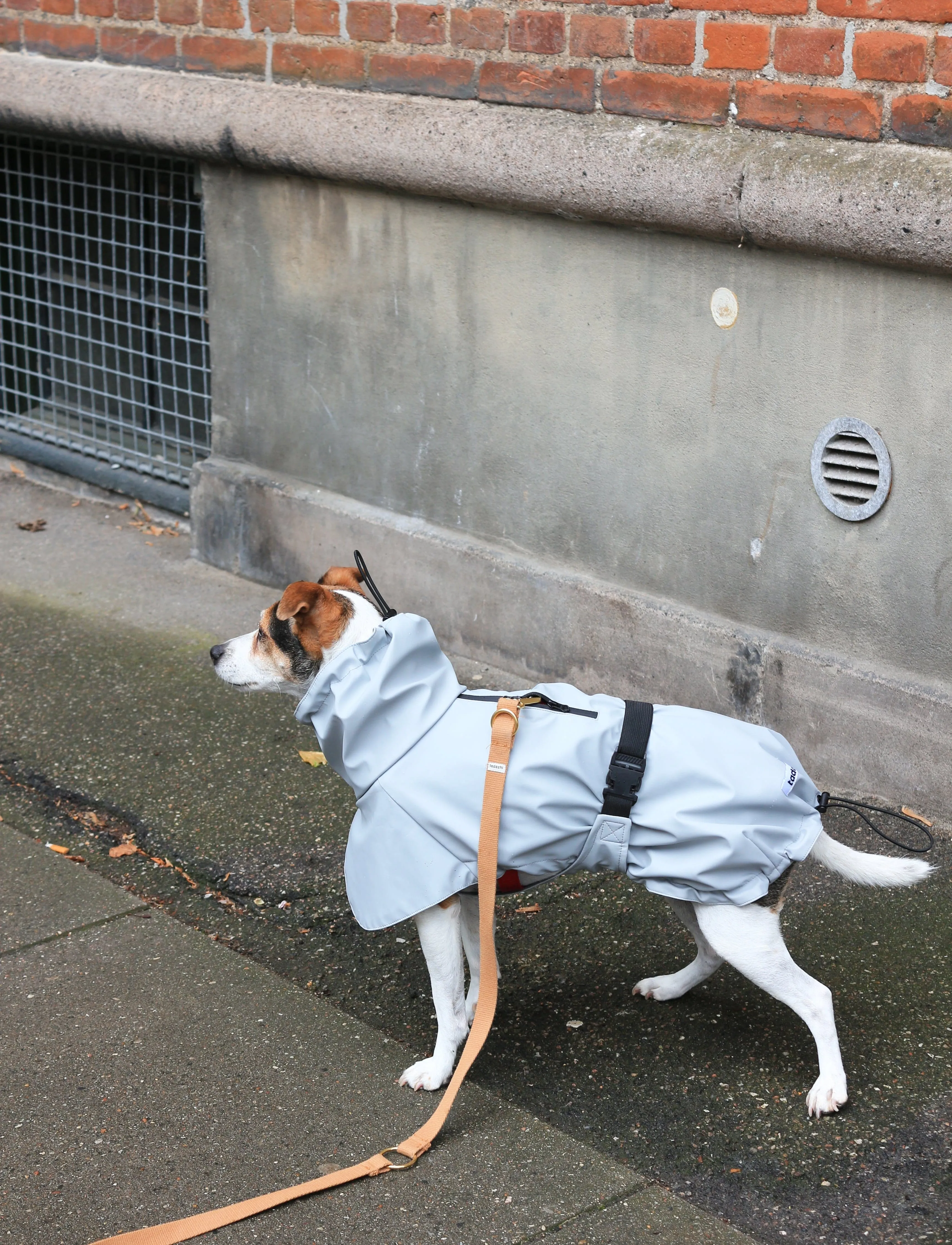 Tadazhi Dog Raincoat